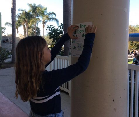 Eco-leader Sienna Agen places a campaign poster on a pole at MBMS.