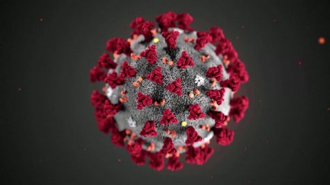 This is an illustration of a coronavirus cell.