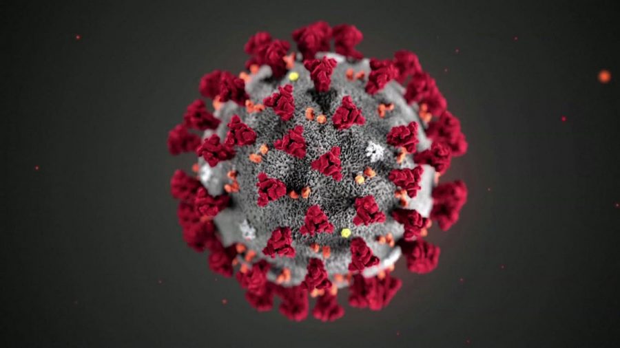This is an illustration of a coronavirus cell.
