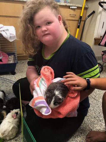 Cuddling her guinea pigs, Bella McCaughey enjoys quality time with her furry friends.