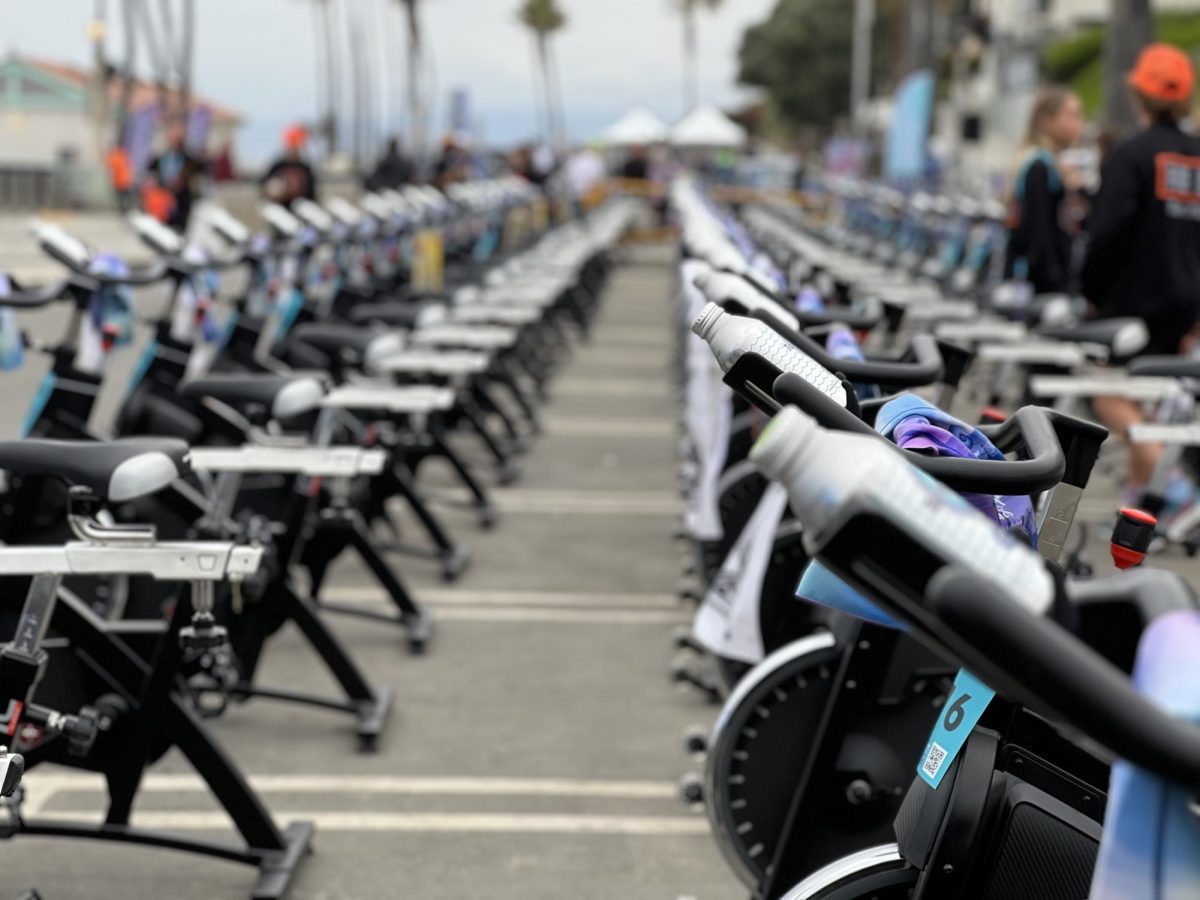 Stationary+bikes+lined+up+for+the+annual+Tour+de+Pier.